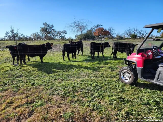 2320 fiedler road Harper, TX 78028